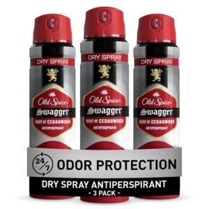 3-Pack Old Spice Antiperspirant and Deodorant for Men – Price Drop – $14.69 (was $20.99)