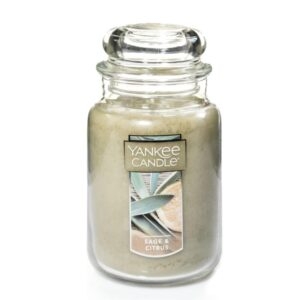 Yankee Candle Classic 22oz Large Jar Single Wick Candle – Price Drop + Clip Coupon – $13.17 (was $30.99)