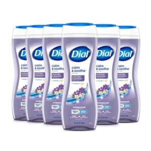 6-Pack Dial Body Wash – Price Drop – $19.15 (was $26.94)