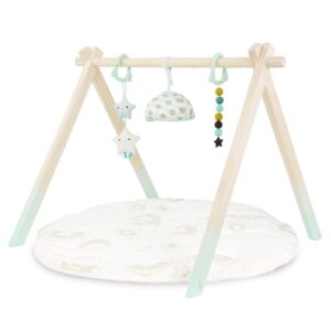 B. toys Wooden Baby Play Gym – Lightning Deal – $19.36 (was $29.19)
