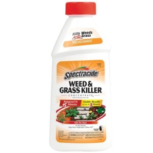 Spectracide Weed And Grass Killer Concentrate – Price Drop – $3.47 (was $9.98)