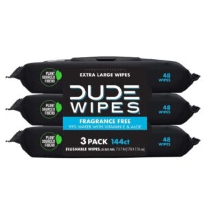 3-Pack DUDE Flushable Wipes – Price Drop – $4.99 (was $8.98)