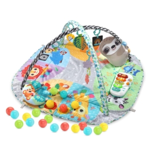 VTech 7-in-1 Senses and Stages Developmental Gym – Price Drop – $34.32 (was $44.62)